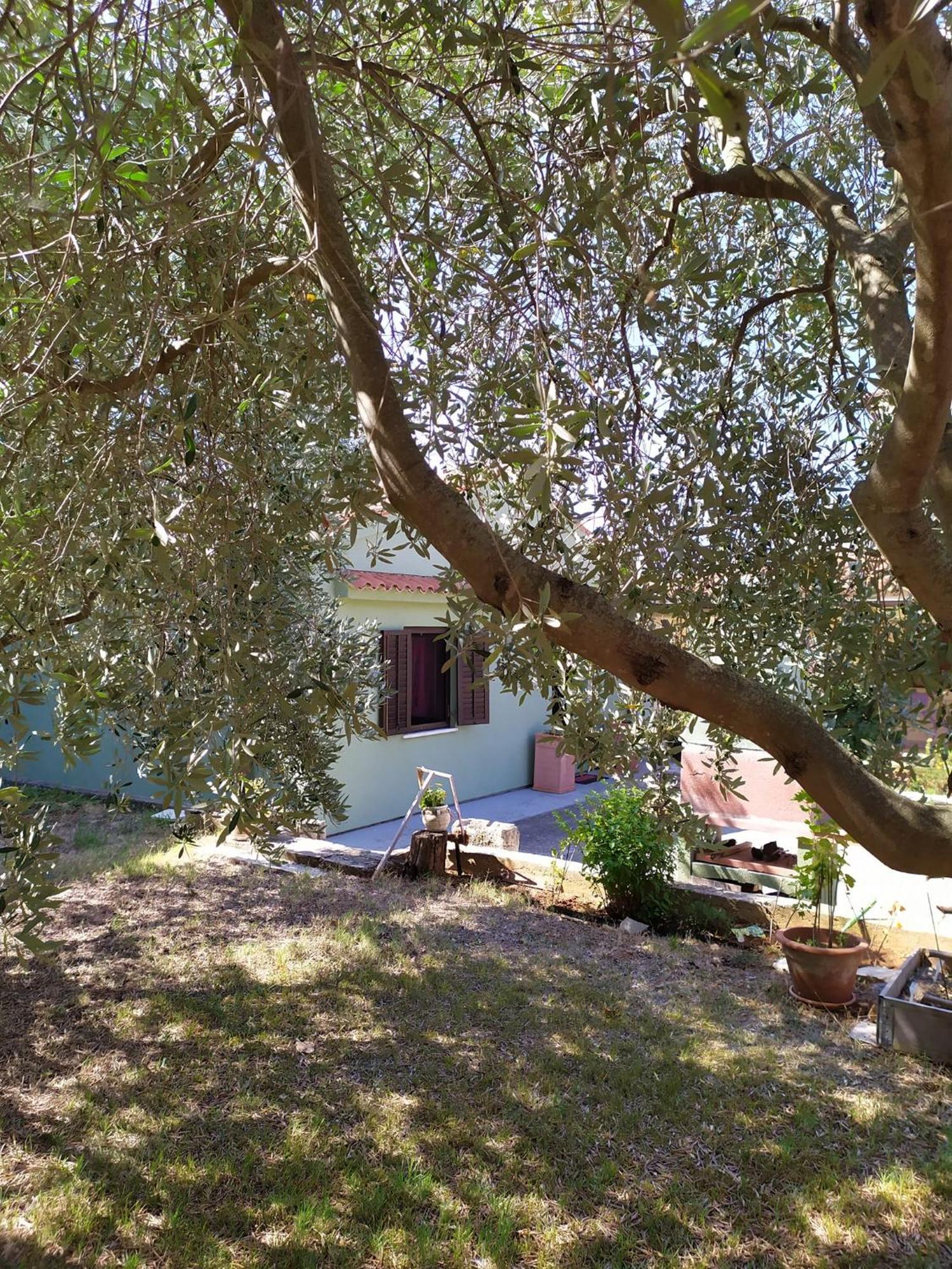 Apartmani Tara Medolino Esterno foto