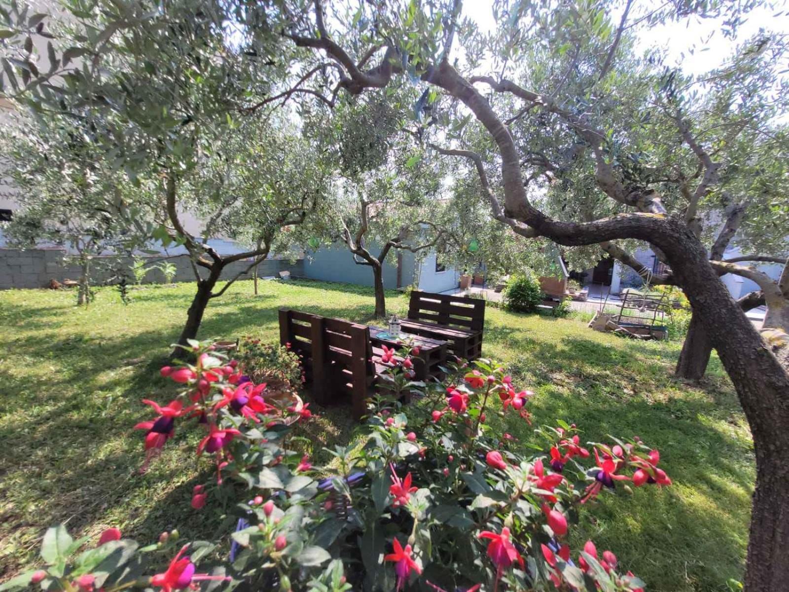 Apartmani Tara Medolino Esterno foto